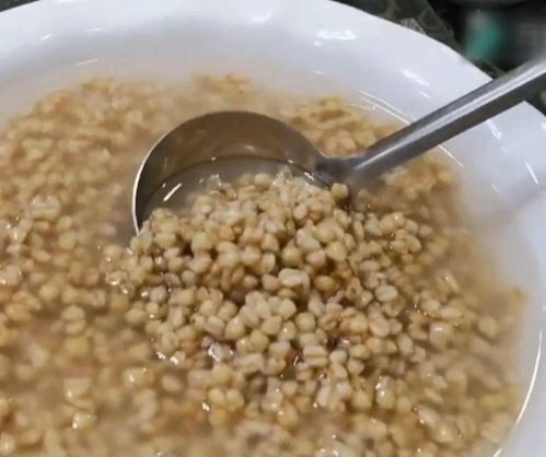 渦陽麥仁酵兒 那一口，真滋潤