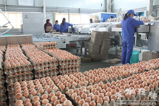 挖掘潛力，轉(zhuǎn)型升級(jí) 加快天水農(nóng)村第二產(chǎn)業(yè)發(fā)展的調(diào)查與思考