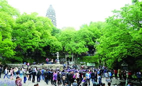 旅游服務新篇章 以品質提升為核心，借力廣告與傳播媒體運營引客來